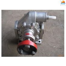 新聞 廠家供應柴油油泵 12v電動自吸抽油泵 汽車機油潤滑齒輪柴油油泵招商