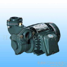 亞士霸油泵價格 亞士霸油泵批發(fā) 亞士霸油泵廠家 