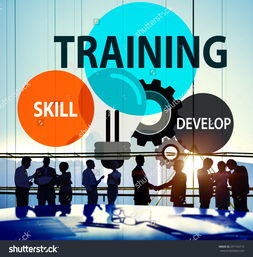 培訓技能、開發(fā)能力與專業(yè)知識 技術咨詢中的核心概念